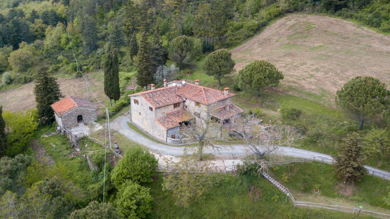 Villa Fattoria Di Cintoia Pontassieve Exterior foto